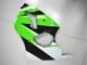 Carénage ZX6R 00-02 - Vert Blanc Noir